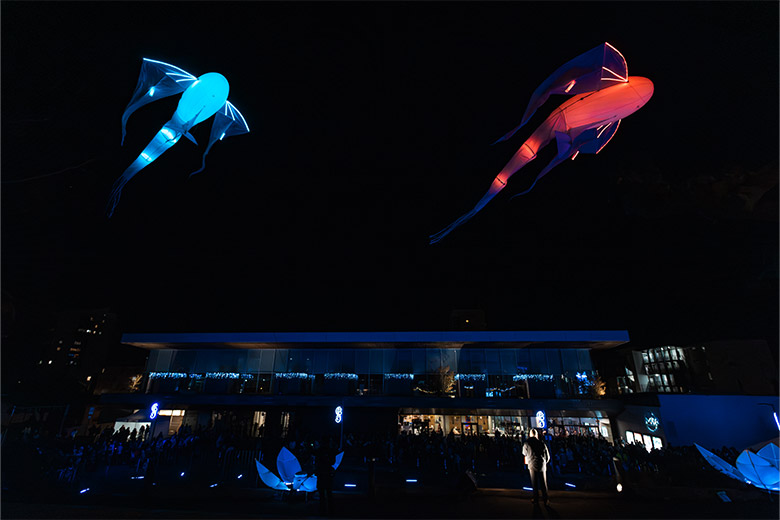 Le ballet des Luminéoles®